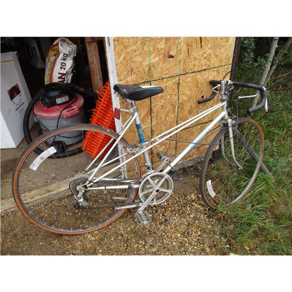 10 Speed Medalist Bike
