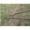 Image 2 : 14' Chain