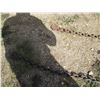 Image 3 : (2) 8' Chains