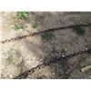 Image 4 : (2) 8' Chains