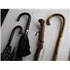 Image 2 : (2) Walking Canes, (2) Umbrellas