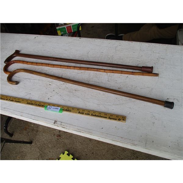 (3) Walking Canes