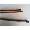 Image 3 : (3) Walking Canes