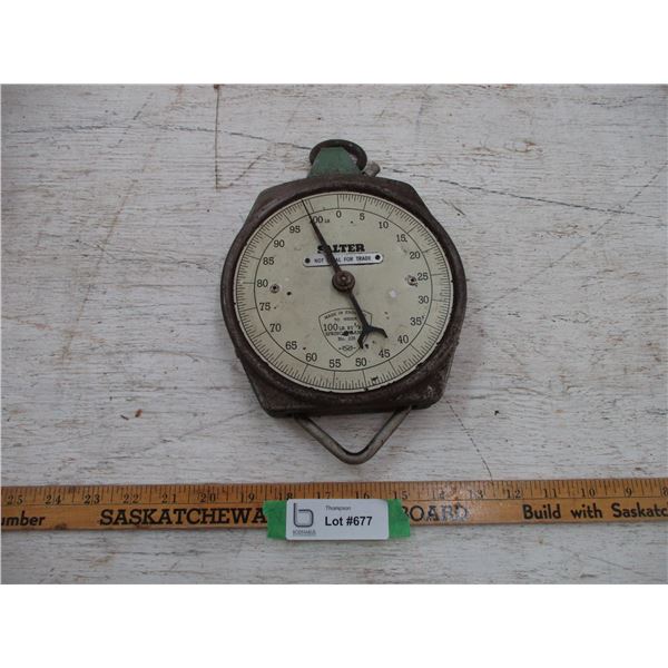 Salter Scale
