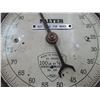 Image 3 : Salter Scale
