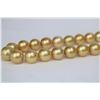Image 3 : 12-14mm South Sea Golden Near Round Necklace with Gold Clasp
