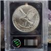 Image 3 : 2021 Type 2 American Silver Eagle