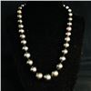 Image 3 : Dark Gray Tahitian Pearl Strand GIA