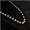 Image 4 : Dark Gray Tahitian Pearl Strand GIA