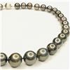 Image 5 : Dark Gray Tahitian Pearl Strand GIA