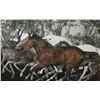 277  Conquistador Cielo by G.H. Rothe
