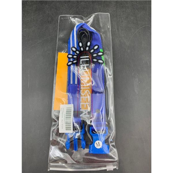 Illumiseen LED Dog Collar (M)