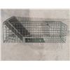 Image 2 : MEDIUM LIVE TRAP