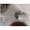 Image 2 : MUSKRAT TRAP