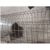 Image 3 : MUSKRAT TRAP