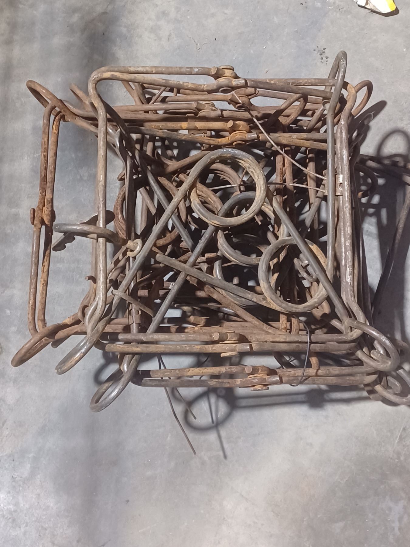 SIX CONIBEAR 330 BEAVER TRAPS GOOD CONDITION READY TO USE