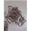 Image 1 : SIX CONIBEAR 110 BEAVER TRAPS