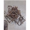 Image 1 : SIX CONIBEAR 110 BEAVER TRAPS