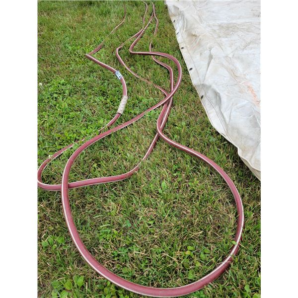 Approx. 100 ft of good garden hose