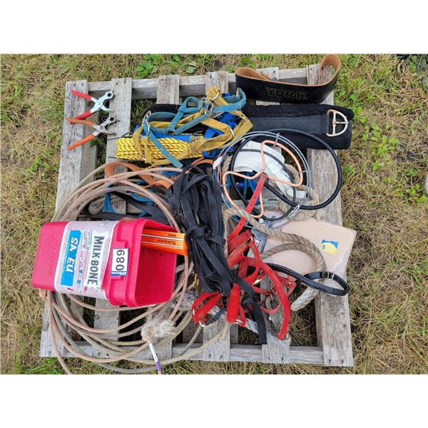 Pallet of halters, 2- leather punches, lariat, vet supplies, reins, new yellow rope, York body belt 