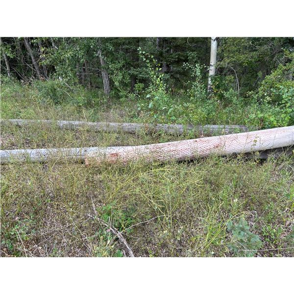 SELLING OFF SITE: Qty of Telephone poles, For more info PH Mel (780) 446-8197. Address: 60110 RR 140