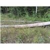 Image 1 : SELLING OFF SITE: Qty of Telephone poles, For more info PH Mel (780) 446-8197. Address: 60110 RR 140