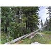 Image 2 : SELLING OFF SITE: Qty of Telephone poles, For more info PH Mel (780) 446-8197. Address: 60110 RR 140