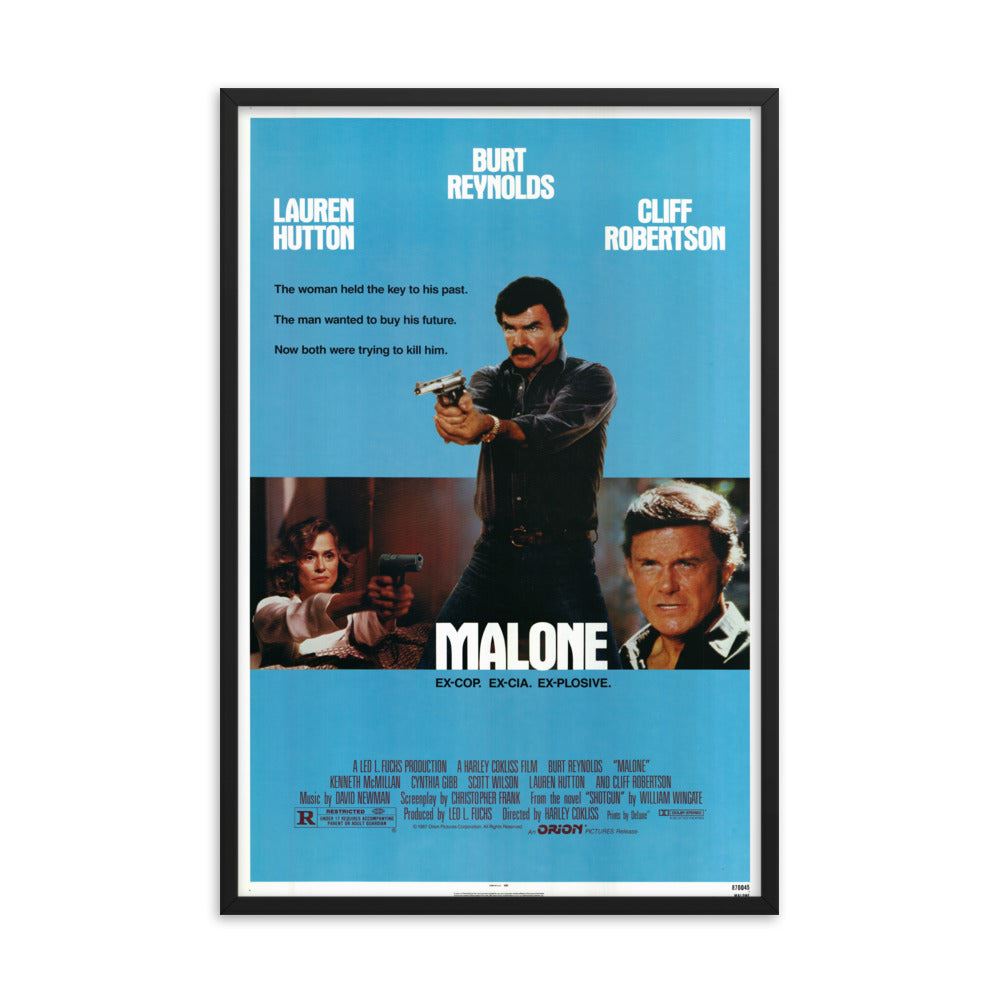 Maximum Risk 1996 REPRINT movie poster REPRINT
