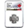 Image 1 : 25-cent 2020 Numis-Tastic NGC PF70 Matte *First Releases*