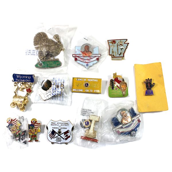 Vintage Lions Club USA Assorted Enameled Pins. 13pcs. 