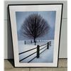 Image 1 : FRAMED TREE PICTURE
