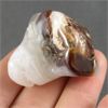 Image 1 : Polished Fire Agate Specimen 