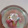 Image 3 : Hand Blown Glass Paperweight Signed 'The Glass Eye" 1986