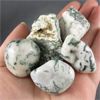 Image 1 : Lot of Raw & Polished Tree Agate