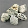 Image 3 : Lot of Raw & Polished Tree Agate