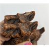 Image 2 : Vintage Syroco Wood Look Scottie Dog Book Ends
