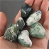 Image 1 : Lot of Polished Tree Agate & Polished Agate Specimens 