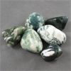 Image 2 : Lot of Polished Tree Agate & Polished Agate Specimens 