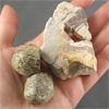 Image 2 : Lot of Raw Zebra Jasper & Garnet Crystals 