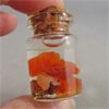 Image 4 : Mexican Fire Opal Specimens
