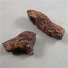 Image 1 : Set of 2 Small Coprolite Fossils (Dino Poo)
