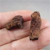 Image 2 : Set of 2 Small Coprolite Fossils (Dino Poo)