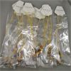 Image 2 : Set of 12 NEW Zodiac Necklaces with 9 Planets