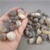 Image 2 : 260 Grams of Raw Agate Stone Nodules