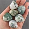 Image 1 : Lot of 6 Polished Tree Agate