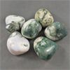 Image 2 : Lot of 6 Polished Tree Agate