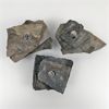 Image 1 : Set of 3 Slate Stone Oil Burners