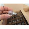 Image 3 : 450 Transparent LED Bulbs