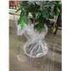 Image 2 : 6' ++ Faux Plant