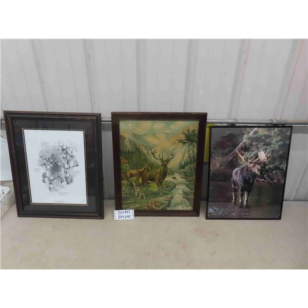 3 Framed Wild Life Pictures; Vintage Deer Family Water Color - Nice Frame 18  x 22.5 ,